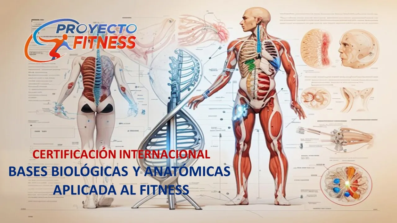 Bases Biológicas y Anatómicas Aplicada al Fitness